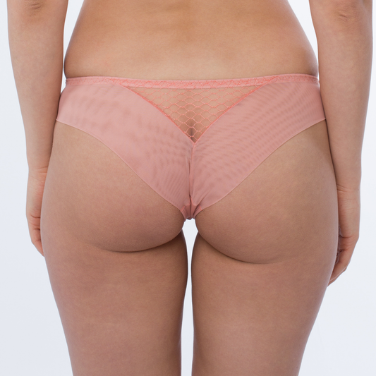 Sheer Mesh Tulle Tanga Panty Lea-1