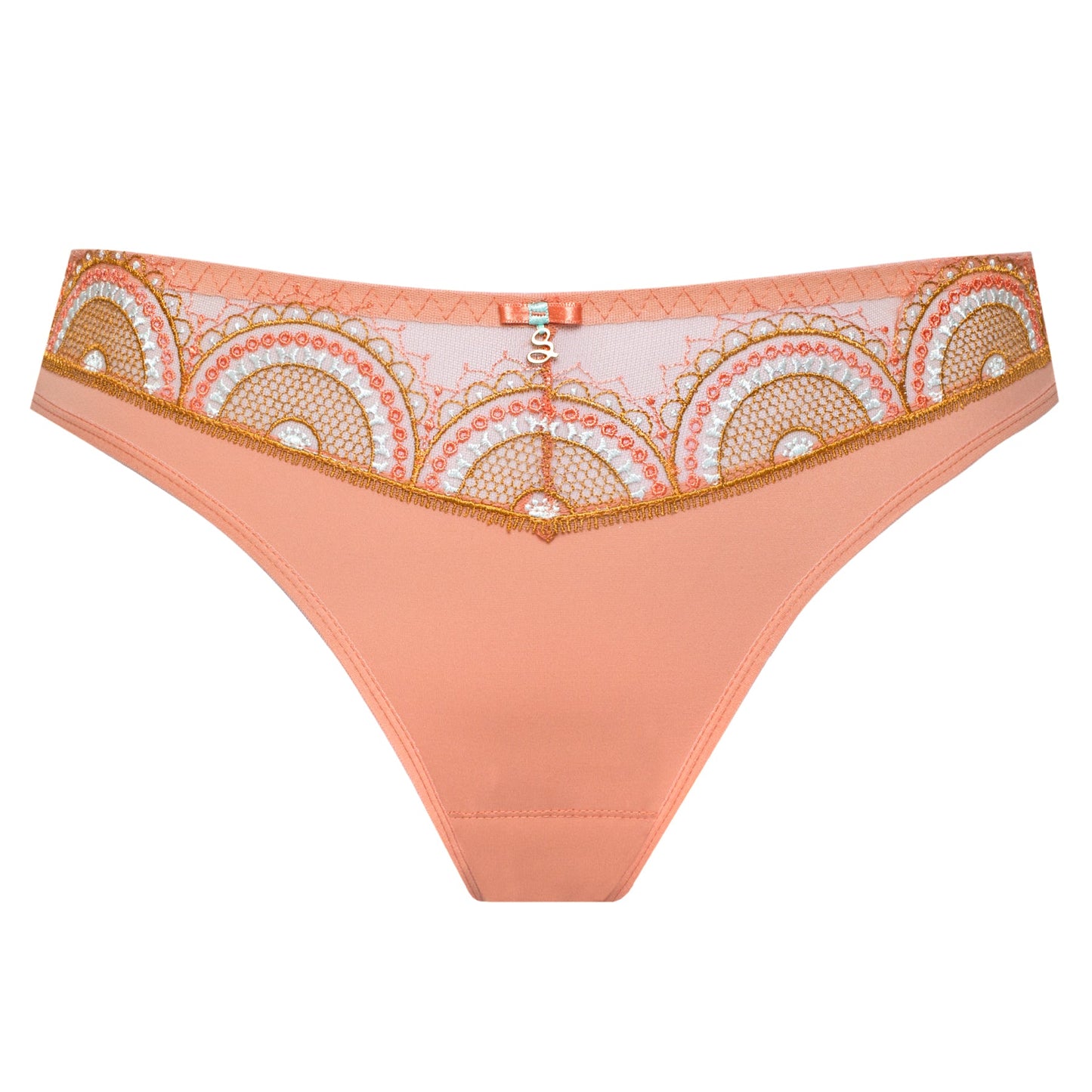 Sheer Mesh Tulle Tanga Panty Lea-5