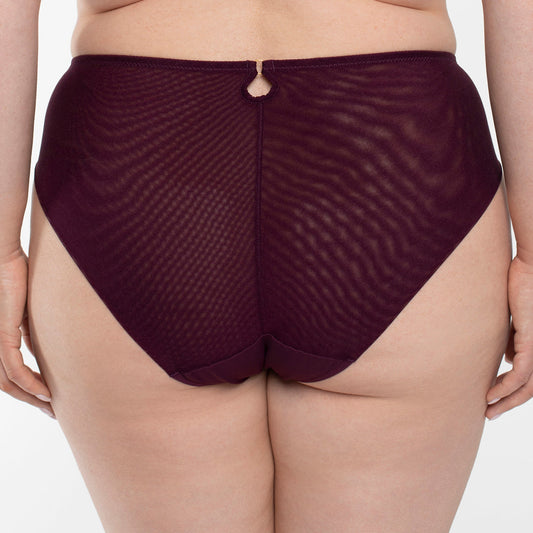 Sheer Mesh Tulle Embroidered Brief Panty Perla Aubergine-1