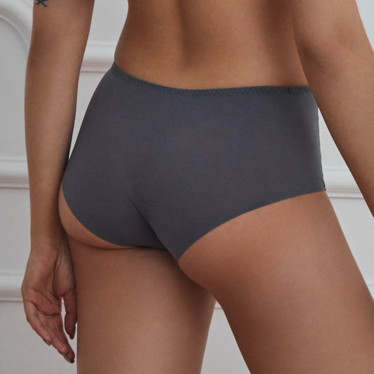 Semi Sheer Mesh Maxi Brief Panty Sharon-1