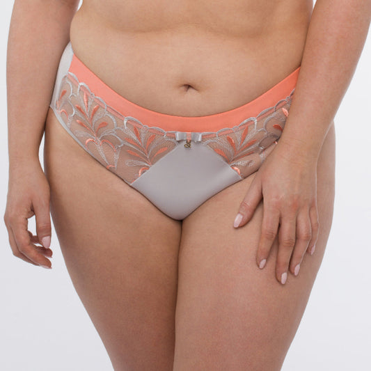 Sheer Mesh Tulle Embroidered Brief Panty Sweet-0