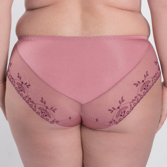 Sheer Mesh Tulle Embroidered Brief Panty Viola-1