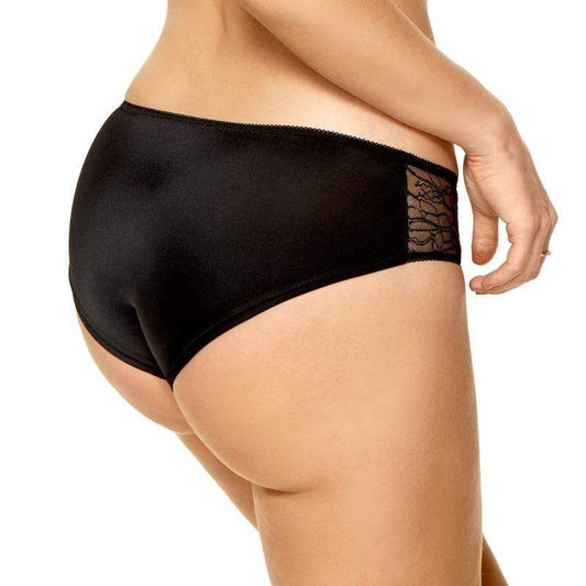 Low Rise Sheer Mesh Lace Bikini Panty Kinga Rosie-1