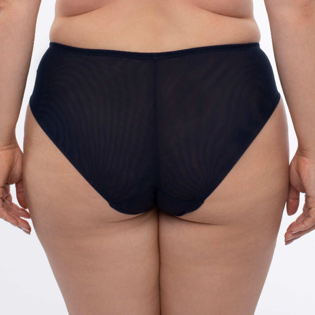 Sheer Mesh Tulle Embroidered Brief Panty Hazel-1