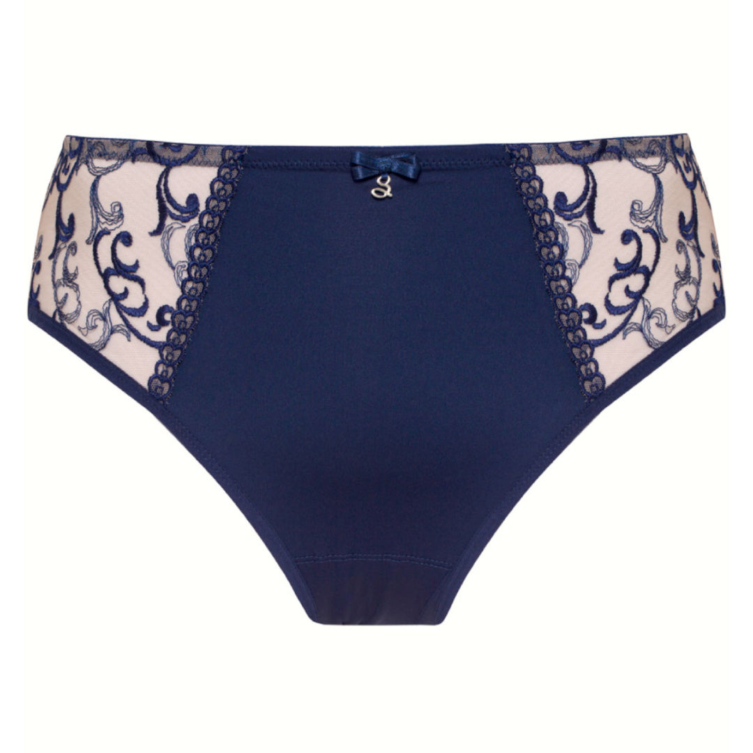 Sheer Mesh Tulle Embroidered Brief Panty Hazel-2