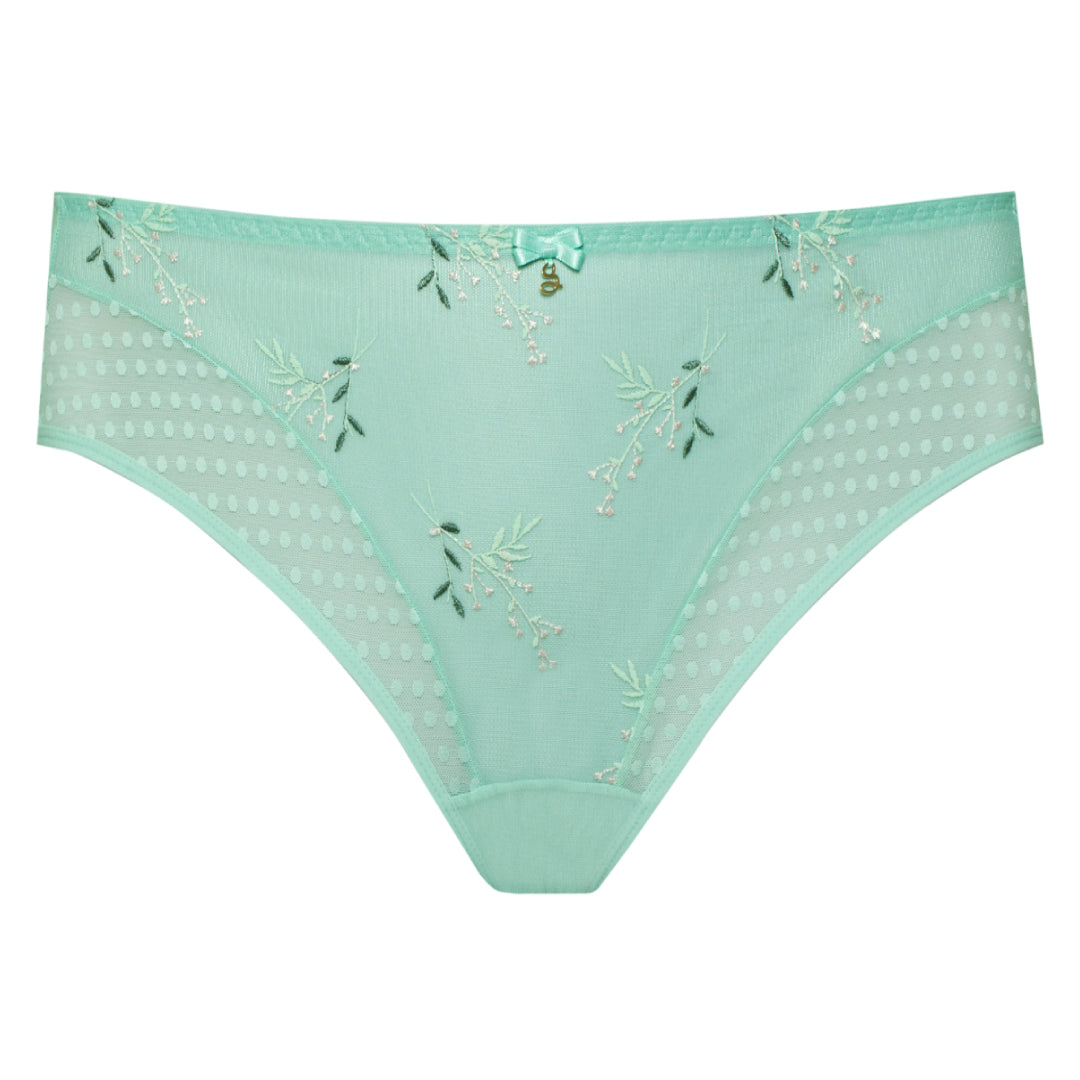 Sheer Mesh Tulle Embroidered Bikini Panty Juno