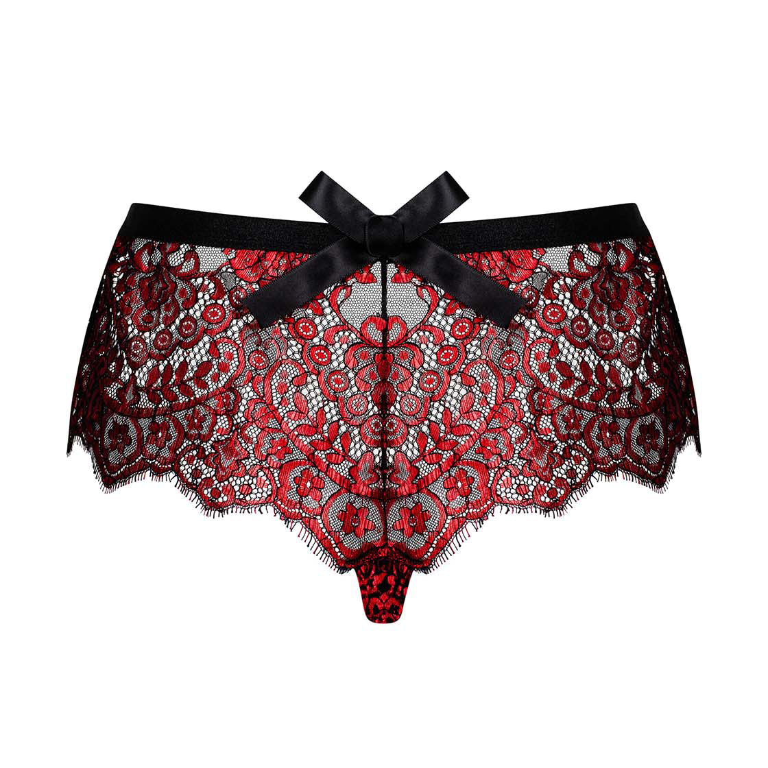 Sheer Seductive Lace Shorties Panty Obsessive Redessia-5