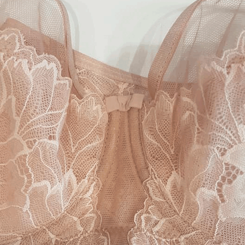 Sheer Lace Full Figure Bra Demeter Pink-5