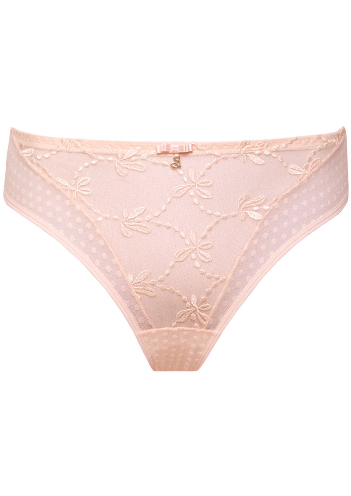 Sheer Mesh Tulle Embroidered Tanga Panty Donna-6